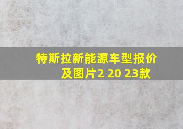 特斯拉新能源车型报价及图片2 20 23款